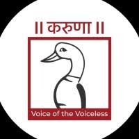 SHREE  KARUNA FOUNDATION TRUST , ANIMAL HELPLINE - RAJKOT 